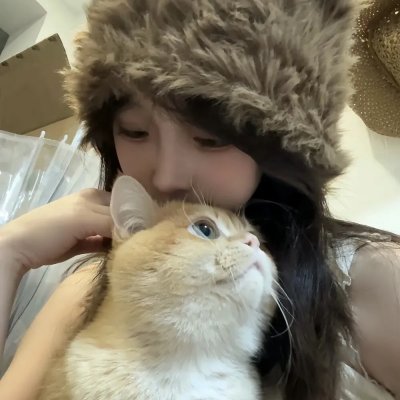 有毛冇翼飞天猪